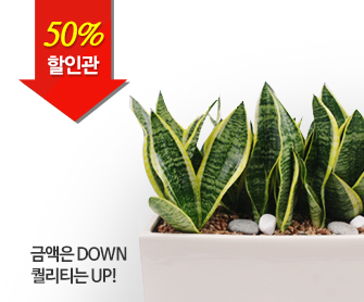 30%ΰ ݾ down ?Ƽ up!