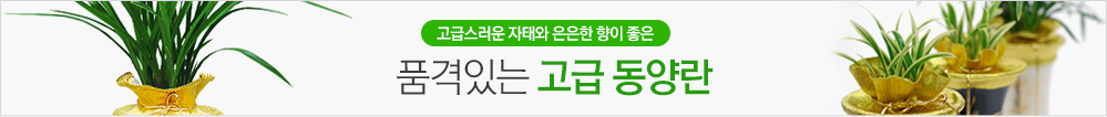 ޽ ¿    ǰִ  