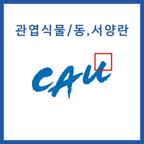 ǰ̹