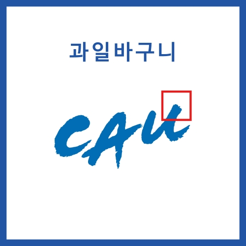 ǰ̹