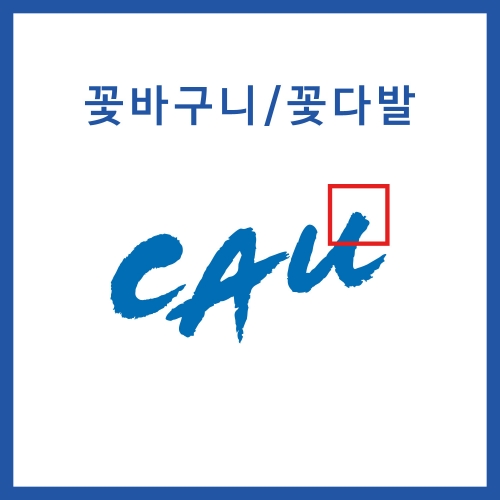 ǰ̹