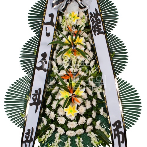 ǰ̹
