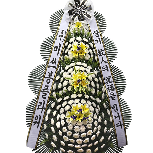 ǰ̹
