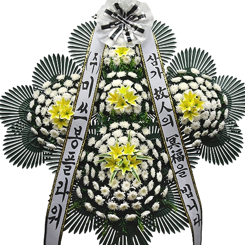 ǰ̹