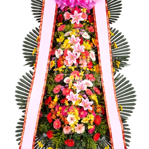 ǰ̹