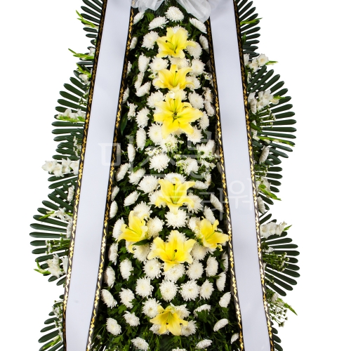 ǰ̹