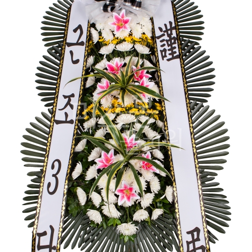 ǰ̹